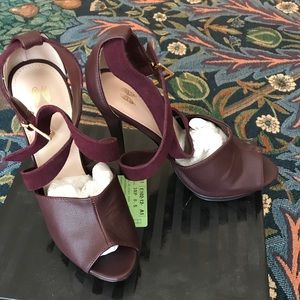 Victoria Secret Poinotnoir Stiletto club shoes